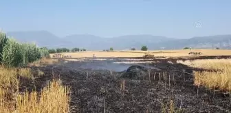 Buğday tarlalarında çıkan yangın söndürüldü