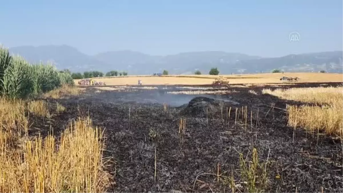 Buğday tarlalarında çıkan yangın söndürüldü