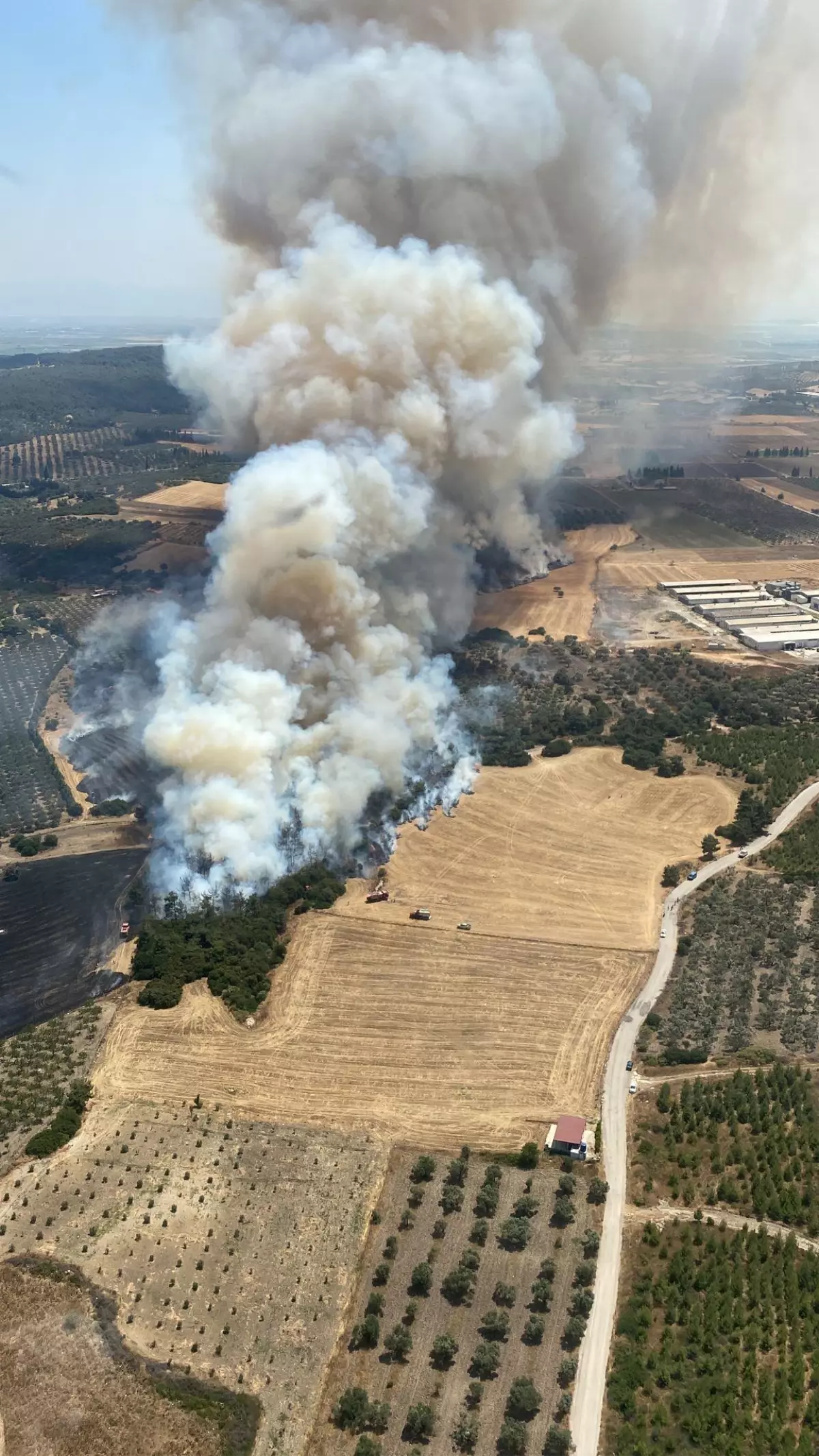 Son dakika: İzmir\'de makilik alanda çıkan yangın kontrol altına alındı