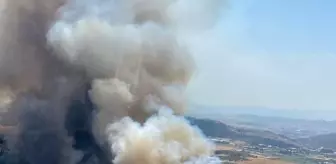 Son Dakika | İzmir'de orman yangını