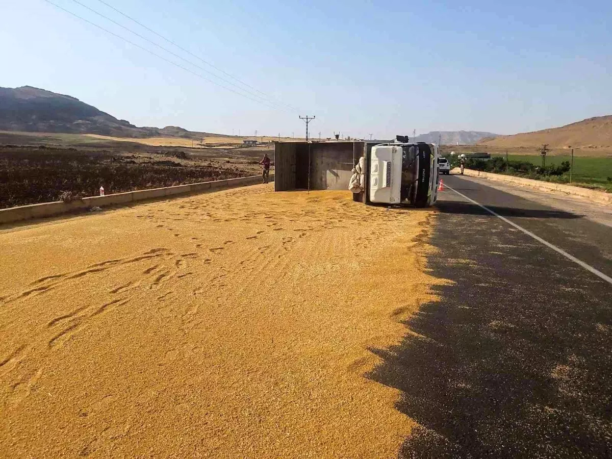 Mardin\'de kamyon devrildi, tonlarca buğday yola döküldü