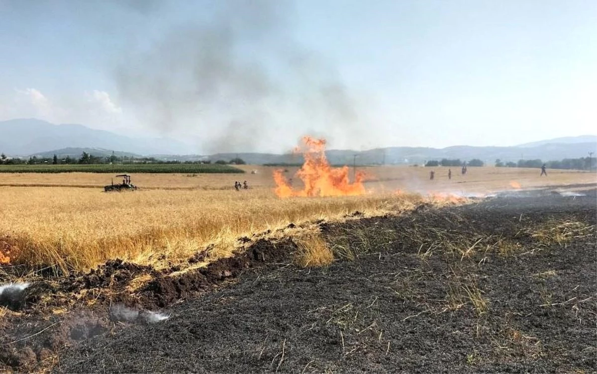 Osmaniye\'de 10 dönüm buğday tarlası yandı