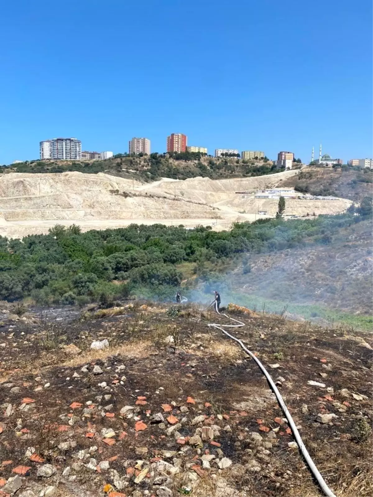 Son dakika haber... Bandırma\'da çıkan yangında 4 dönüm arazi küle döndü