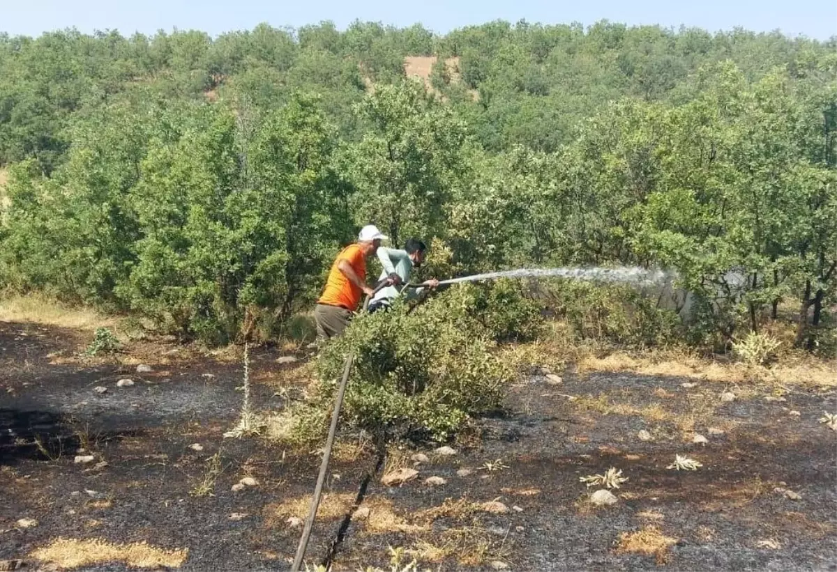 Son dakika! Bingöl\'de çıkan orman yangını söndürüldü