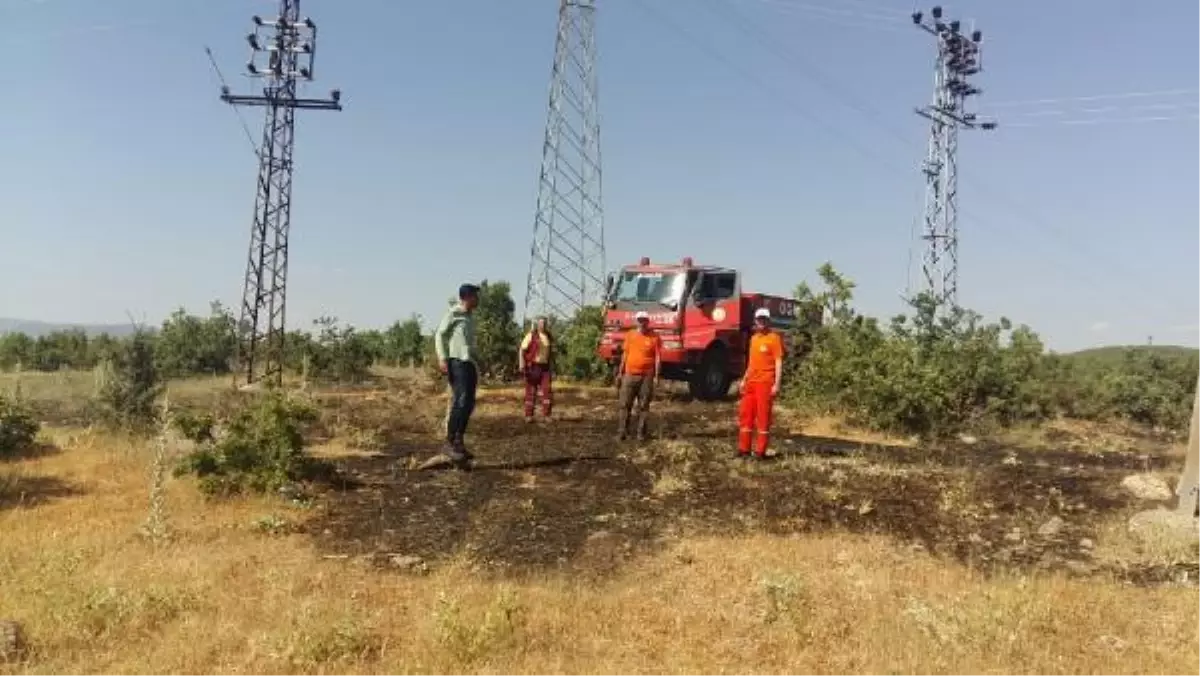 Bingöl\'de ormanda çıkan yangın söndürüldü