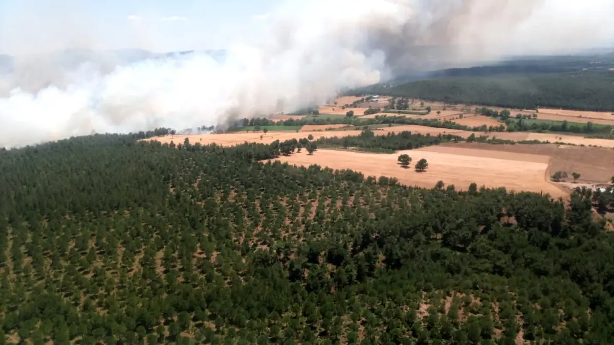 Son Dakika | Çanakkale\'de ziraat yangını ormana sıçradı