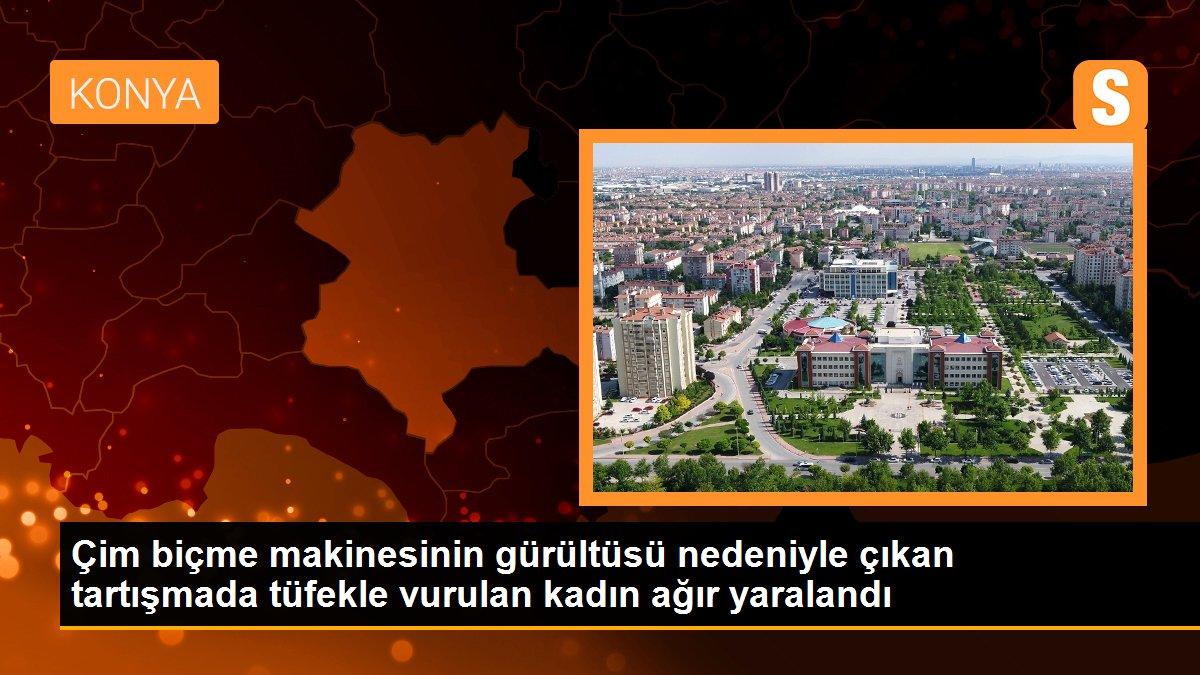 Çim biçme makinesinin gürültüsü nedeniyle çıkan tartışmada tüfekle vurulan kadın ağır yaralandı