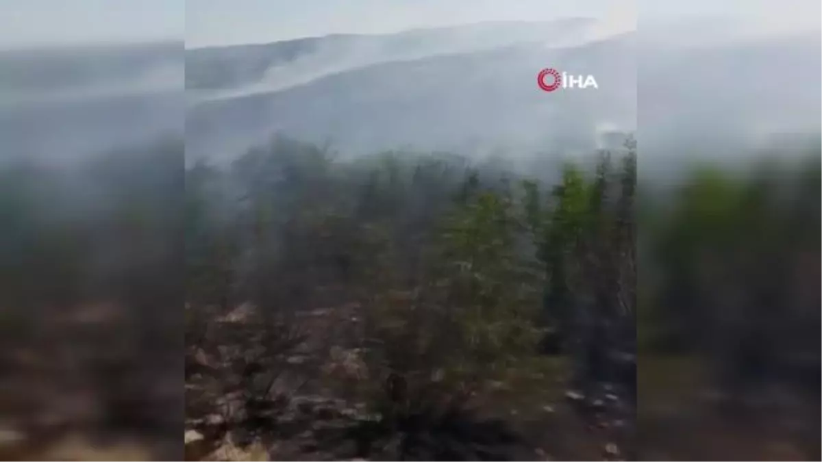 Ezine'de ziraat yangını