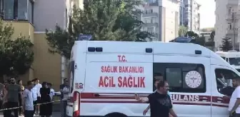 Sokakta tartıştığı kardeşine pompalıyla saldırdı! Biri hastanede diğeri gözaltında