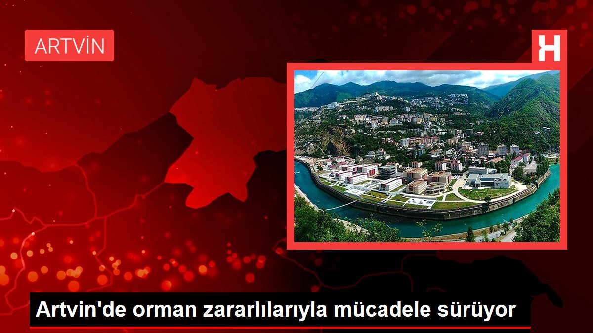 Artvin'de orman zararlılarıyla mücadele sürüyor