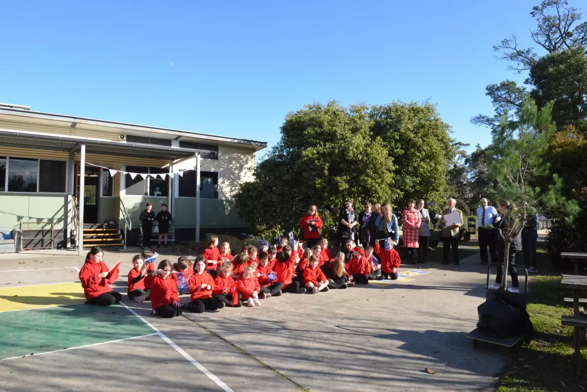 Avustralya'da 100 ilkokula Türk çamı dikiliyor