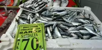 Çanakkale'de balık tezgahlarında fiyatlar arttı