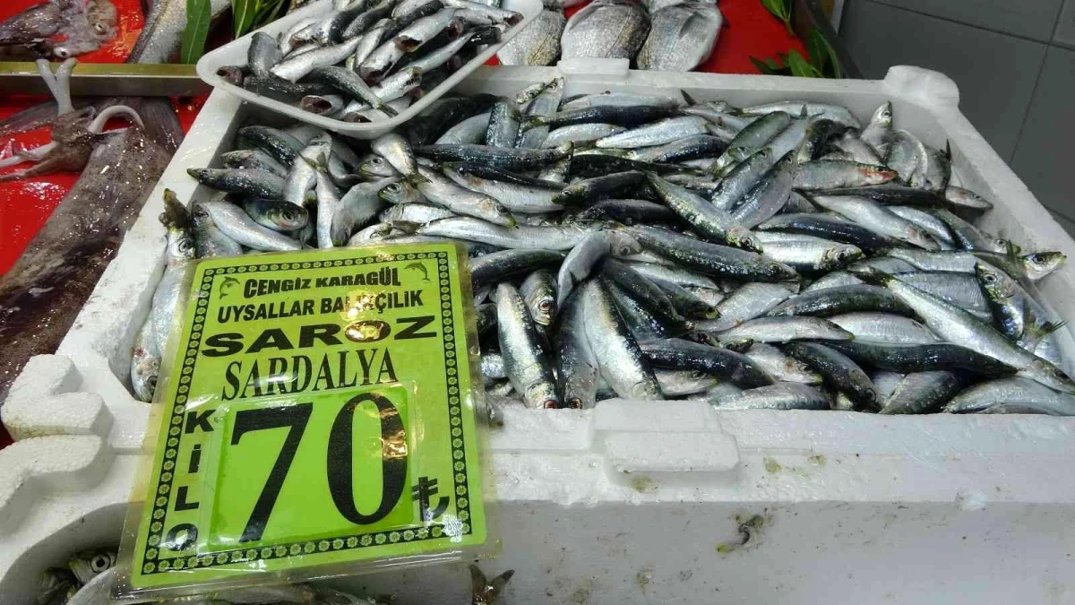 Çanakkale\'de balık tezgahlarında fiyatlar arttı