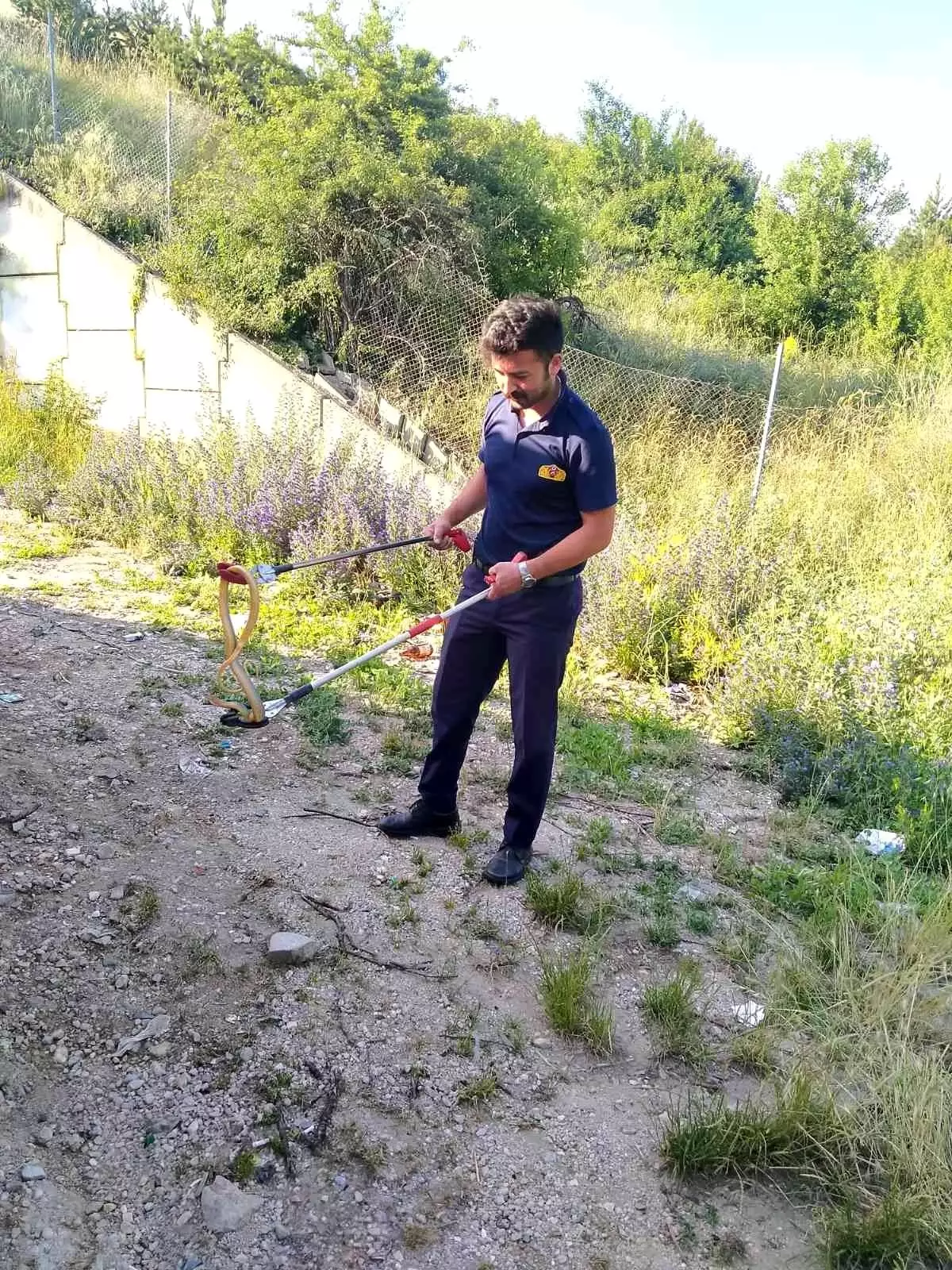 Son dakika haberi! Evlerin arasında dolaşan yılanı itfaiye ekipleri yakaladı