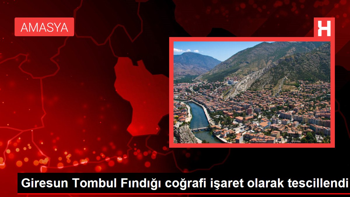 Giresun Tombul Fındığı coğrafi işaret olarak tescillendi