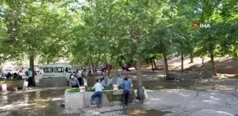 Kahramanmaraş salatalığı sofralardaki yerini aldı: Kilosu 3 liraya kadar düştü