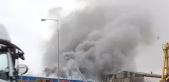 Kocaeli'de ilaç fabrikasında yangın (2)