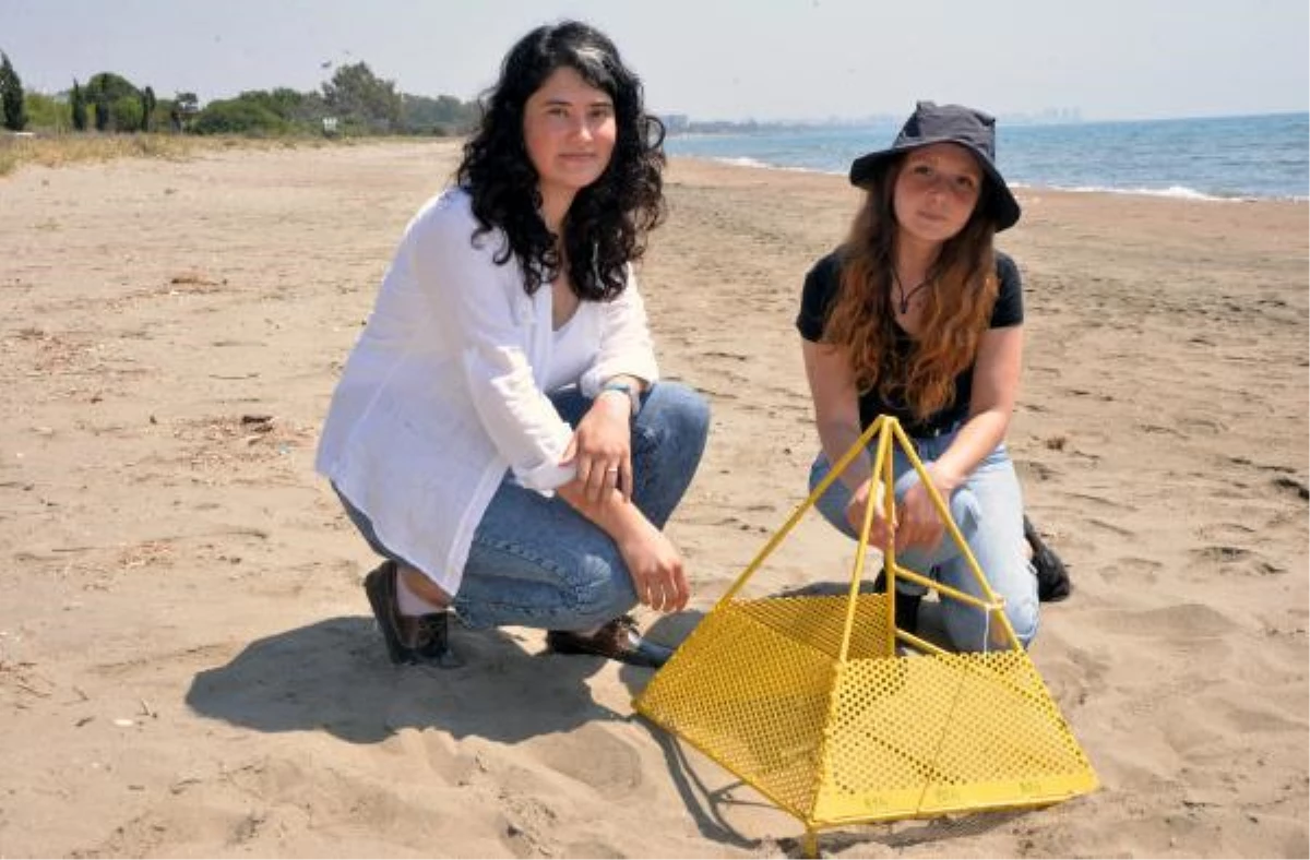 Mersin sahillerine yumurta bırakan caretta carettalar dronla takip ediliyor