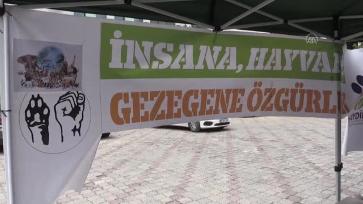 Sahipsiz hayvanlar için kermes düzenlendi