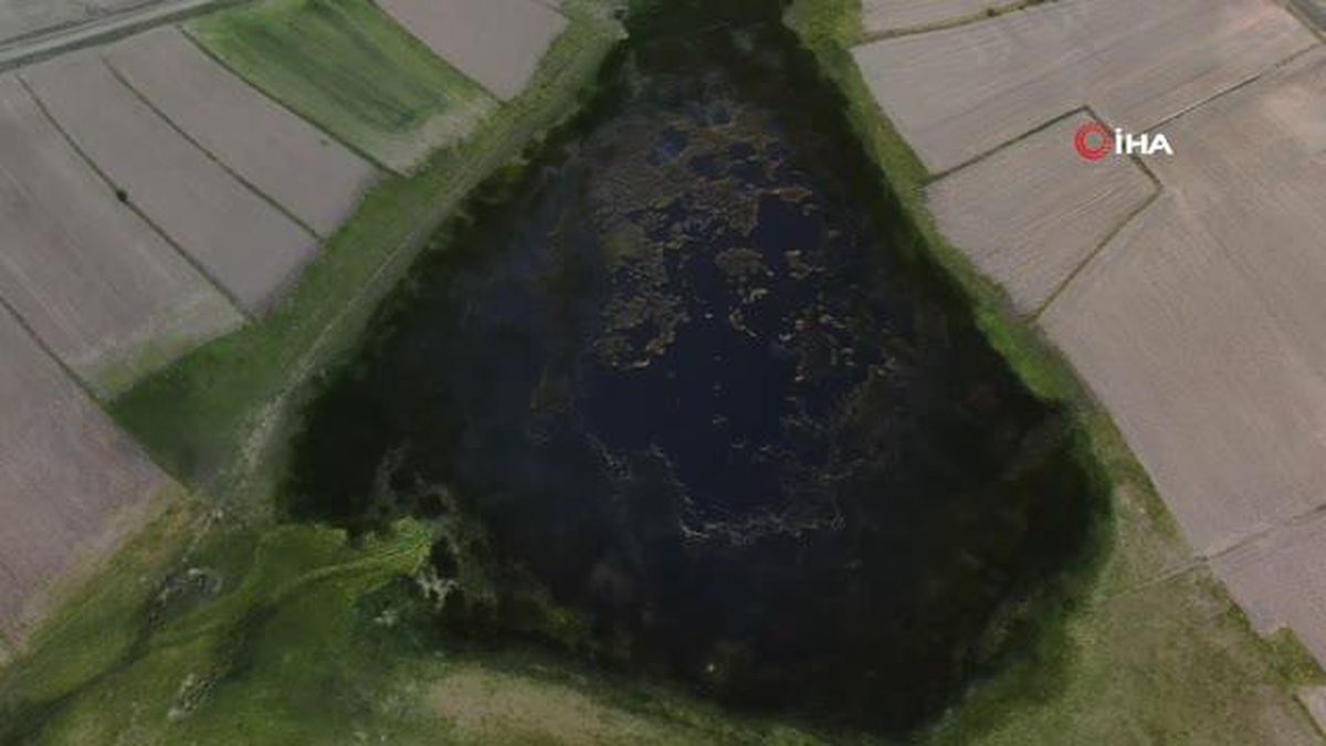 Sülük hırsızları ile başları dertte, bölgenin korunmasını istiyorlar