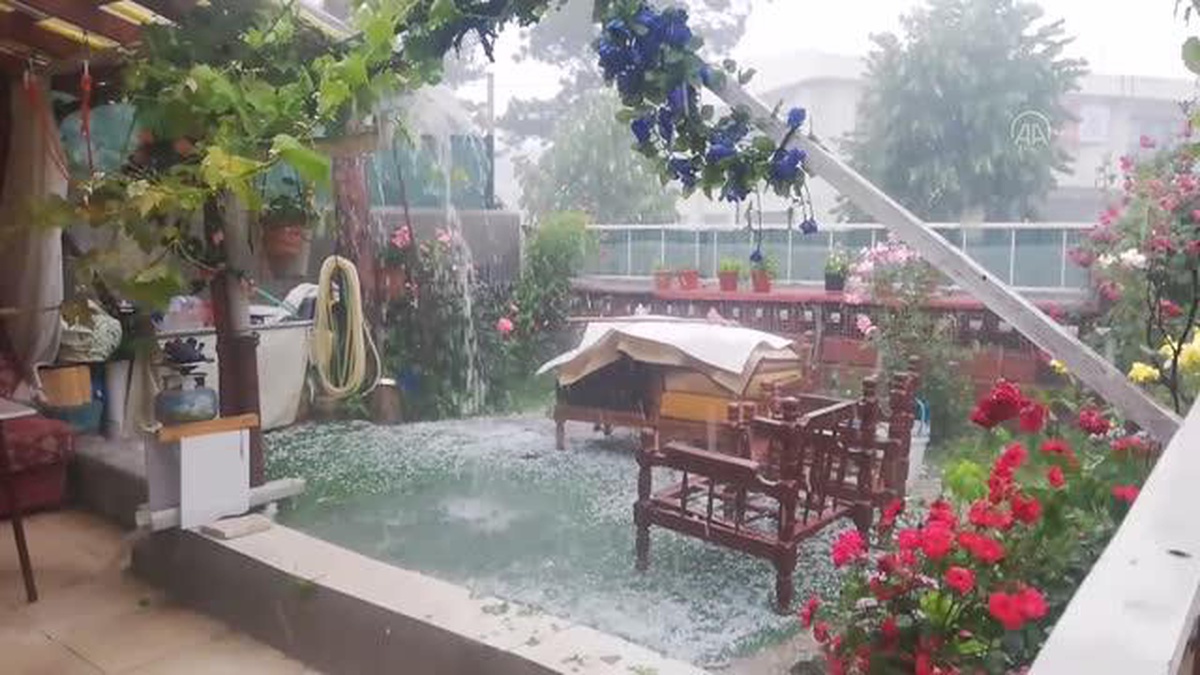 Yağış nedeniyle bazı ev ve iş yerlerini su bastı