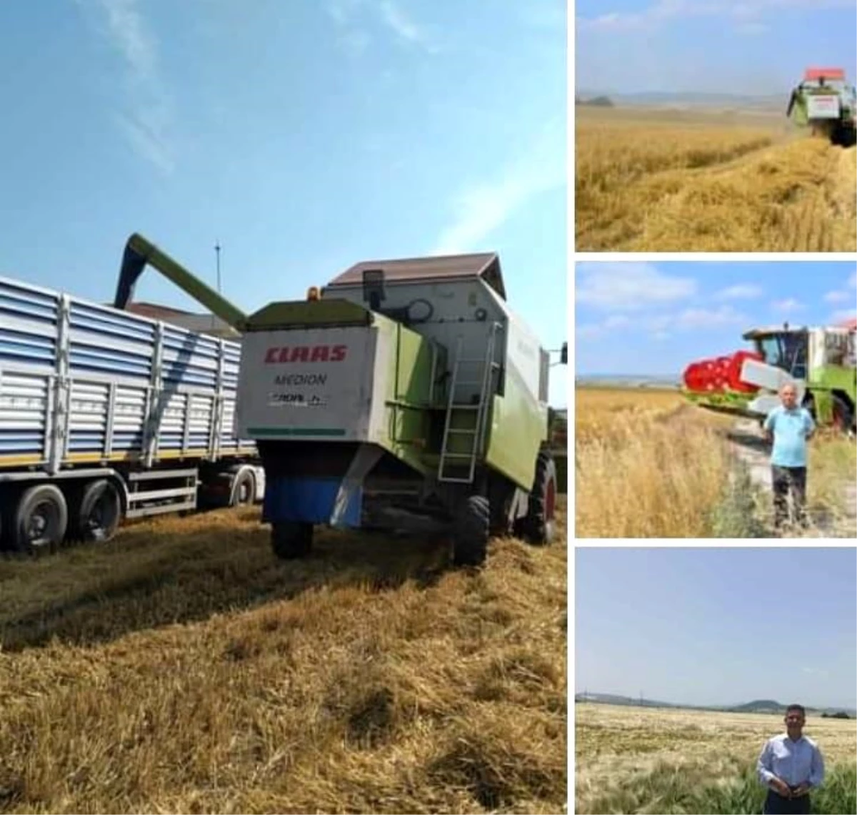 BAÜN'de 203 ton arpa hasadı yapıldı