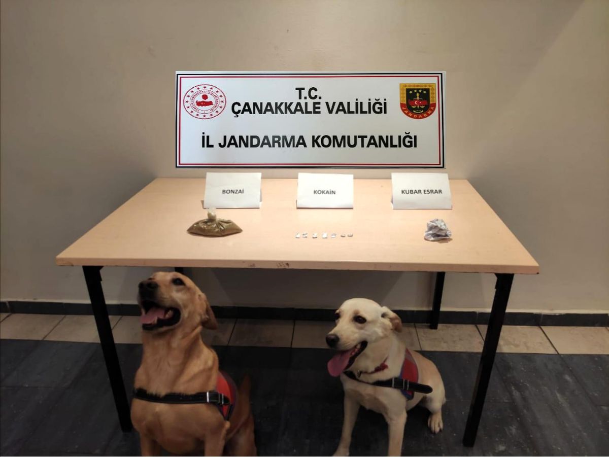 Son dakika haberi: Çanakkale\'de uyuşturucuya karşı 2 ayda 24 operasyon