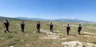 Son dakika haber... Defineciler jandarmaya suçüstü yakalandı