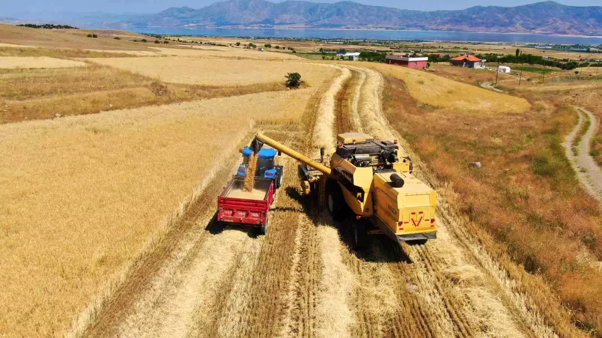 Elazığ\'da yılın ilk arpa hasadı gerçekleştirildi