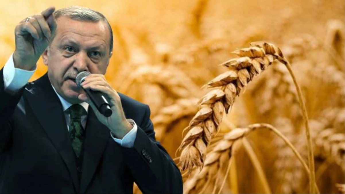 Gıda krizi için Türkiye devrede! İstanbul\'da zirve yapılacak