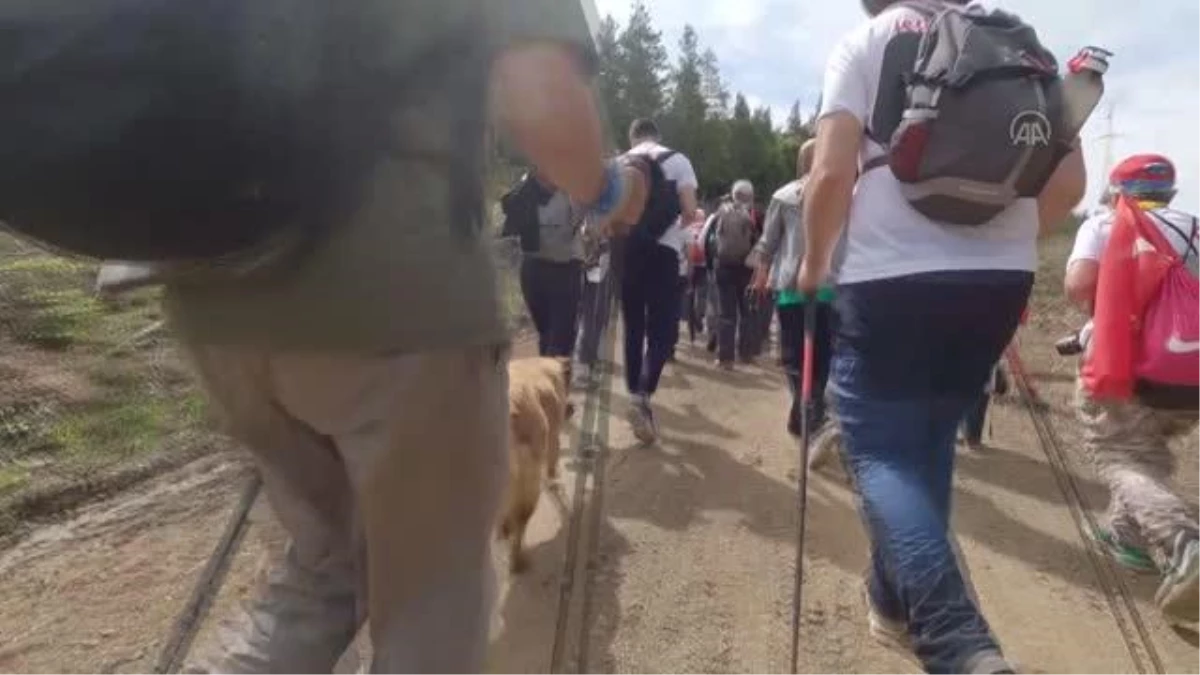 KASTAMONU - İstiklal Yolu Yürüyüşü\'ne katılanlarla 95 kilometre kateden köpeği, İnebolulular sahiplendi