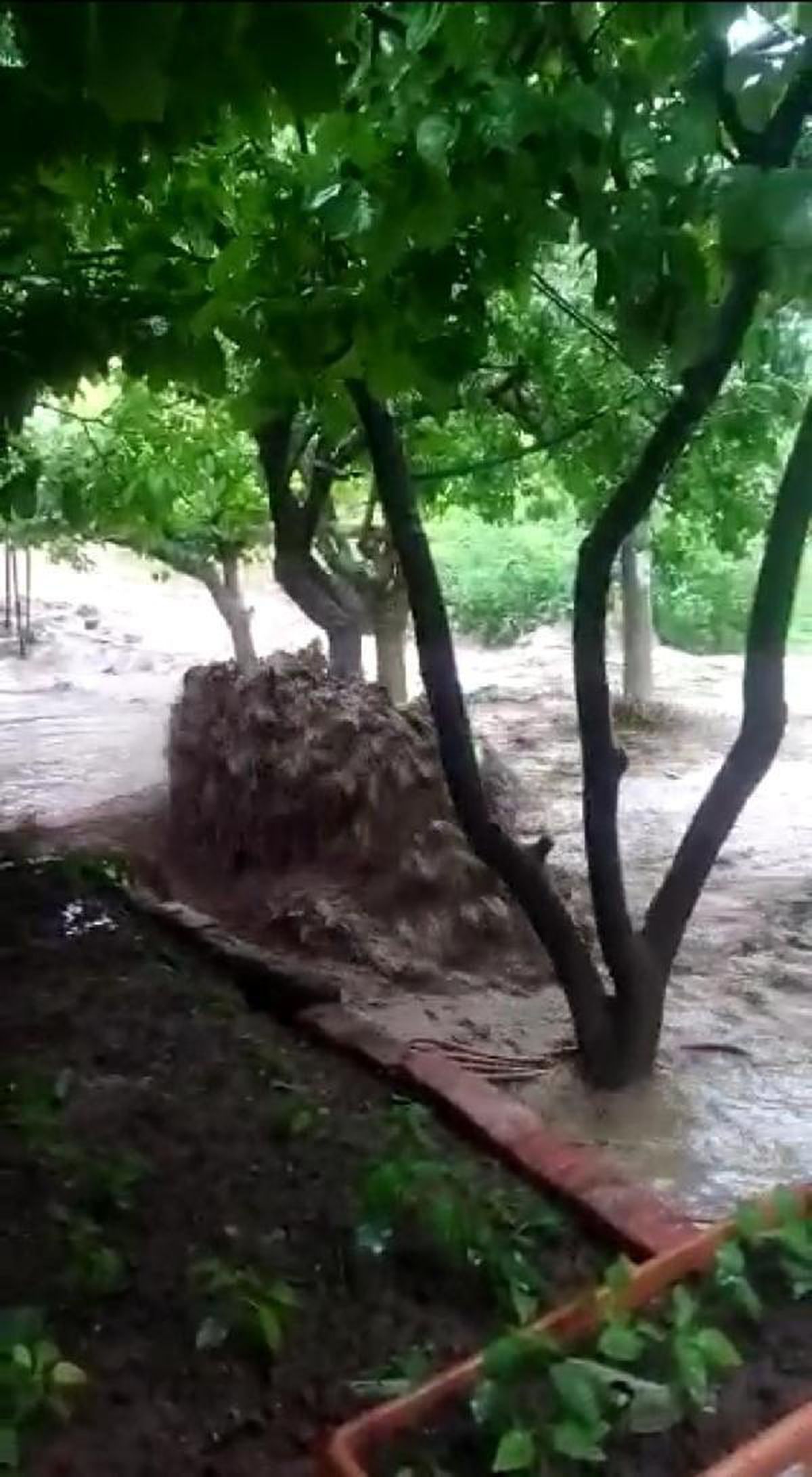 Kırıkkale'de sağanak günlük yaşamı olumsuz etkiledi