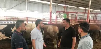 Kurbanlık satış yerleri hareketlendi