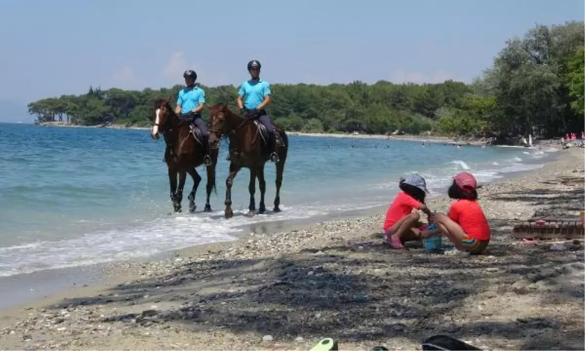 Kuşadası milli park sahilini, atlı jandarmalar koruyacak