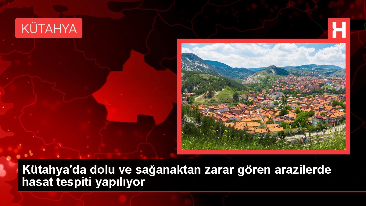 Kütahya'da dolu ve sağanaktan zarar gören arazilerde hasat tespiti yapılıyor