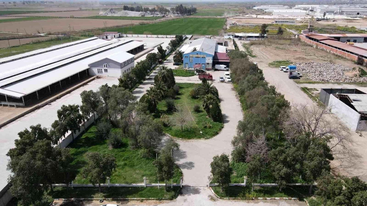 Nazilli\'de kurban kesim fiyatları açıklandı