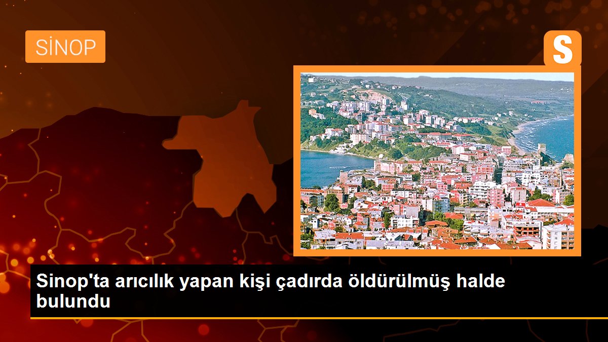 Son dakika haber! Sinop\'ta arıcılık yapan kişi çadırda öldürülmüş halde bulundu
