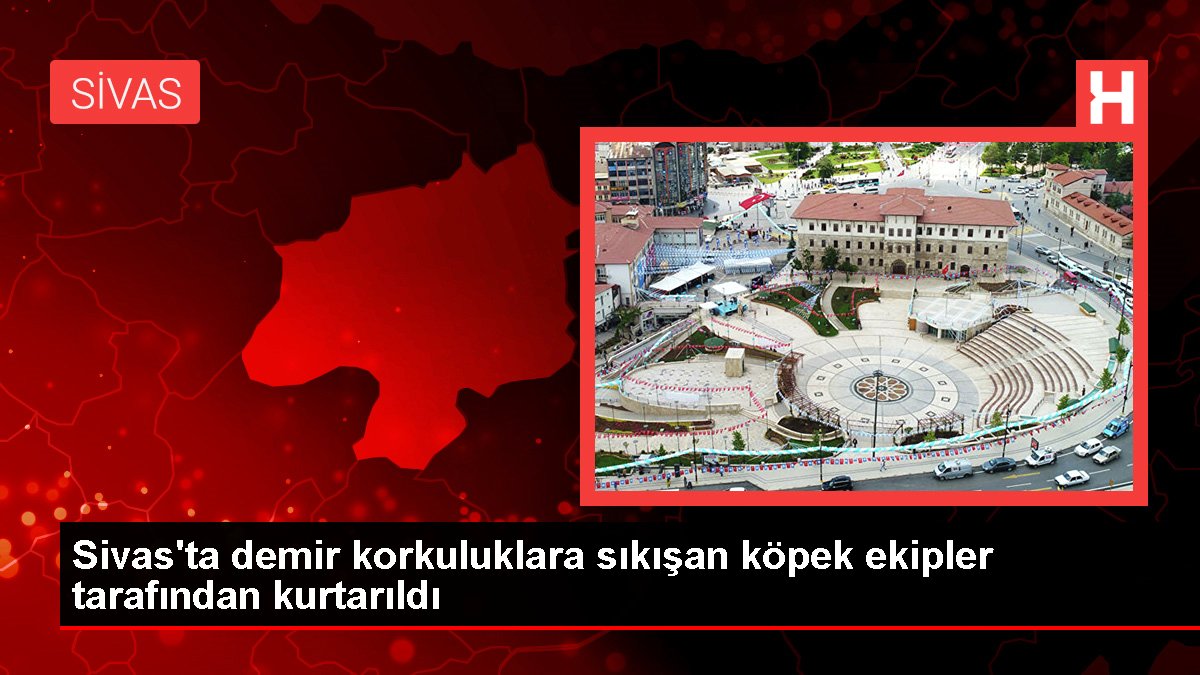 Sivas'ta demir korkuluklara sıkışan köpek ekipler tarafından kurtarıldı