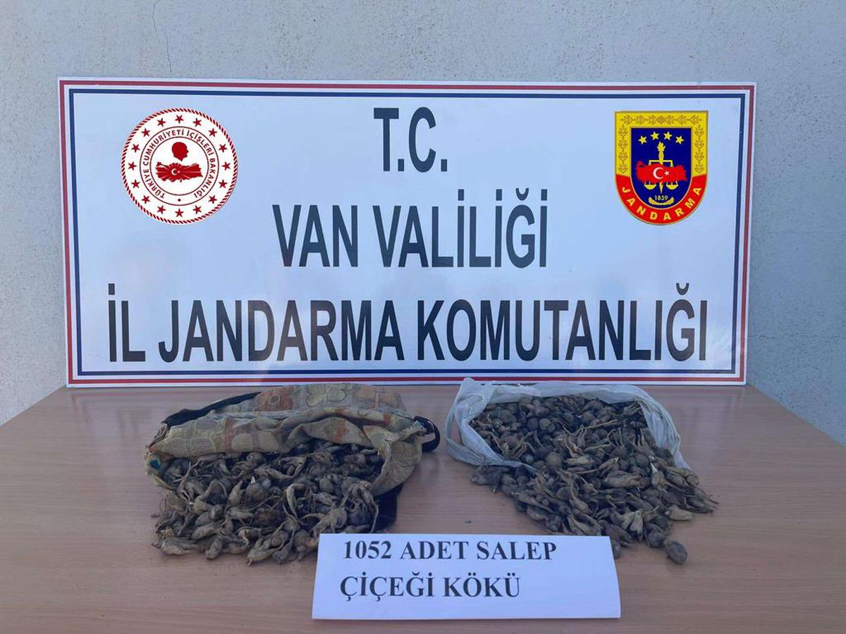 Van\'da salep soğanı toplayan 4 kişiye 438 bin 372 lira ceza uygulandı