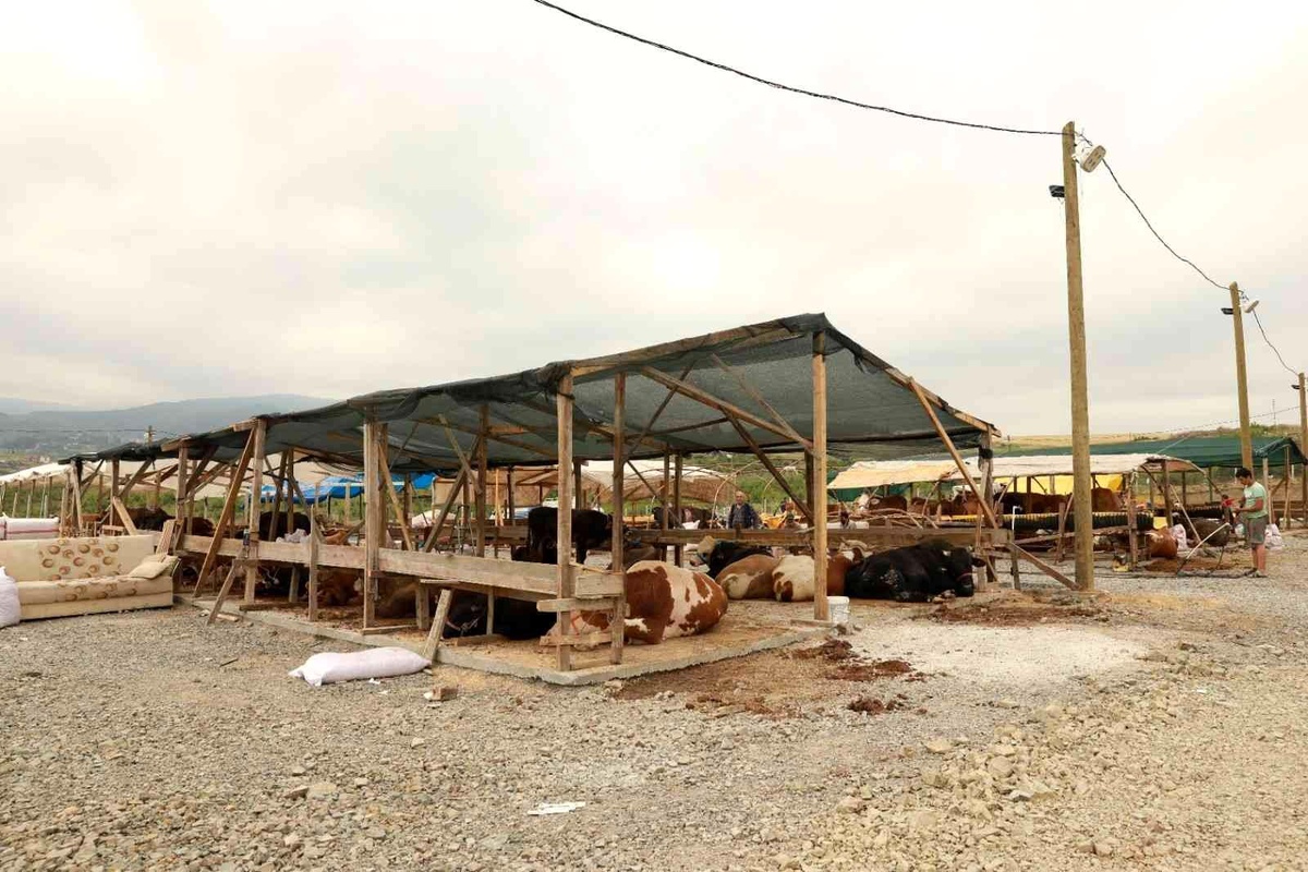 Yalova Kurban Pazarı artık Kazımiye köyünde