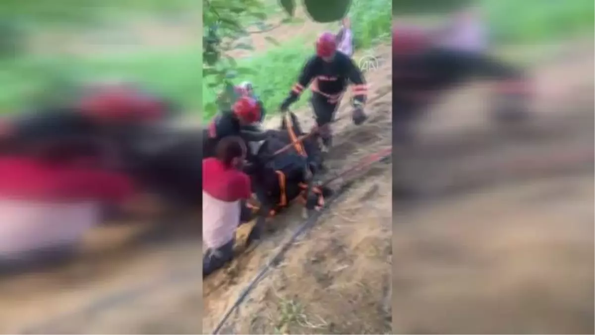 Yamaçtan yuvarlanan ineği itfaiye ekipleri kurtardı