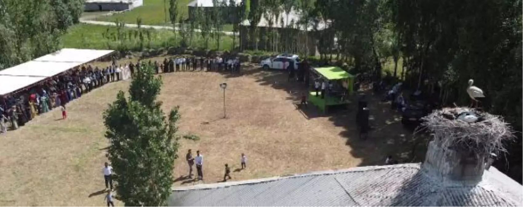 Yüksekova'da leylekler bacalar ve elektrik direklerinde