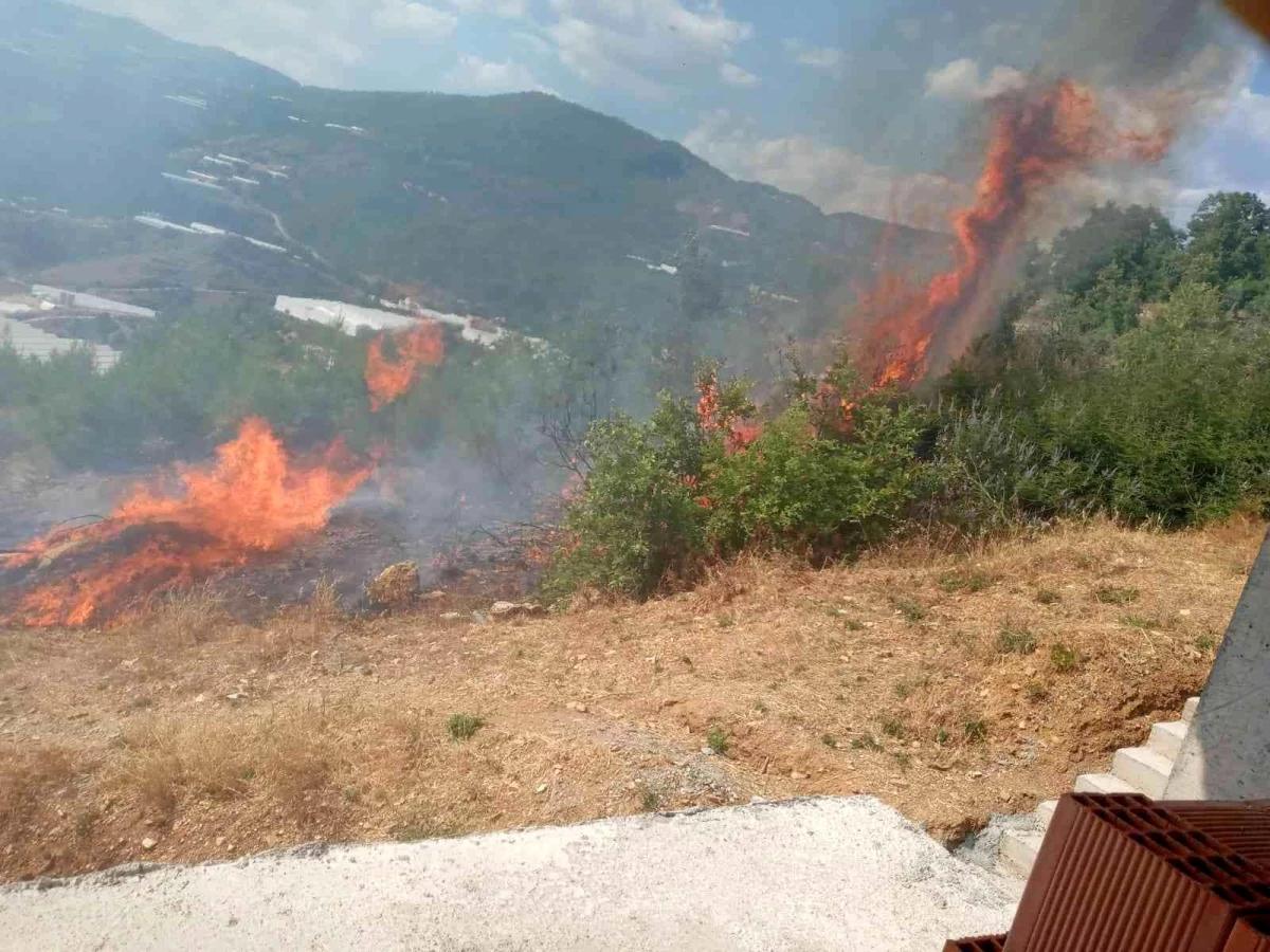 Alanya\'da tarım arazisinde başlayan yangında 10 dönüm zarar gördü