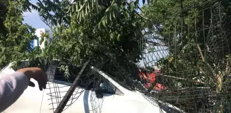 Kontrolden çıkan otomobil refüjdeki ağaca çarparak durdu