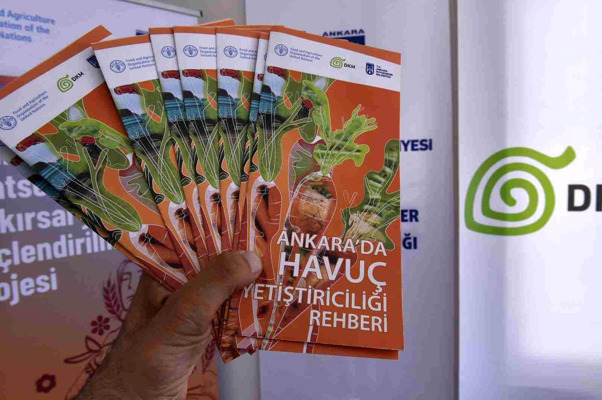 Ankara Büyükşehir'den Beypazarlı Üreticilere Havuç Üretim Teknikleri Eğitimi