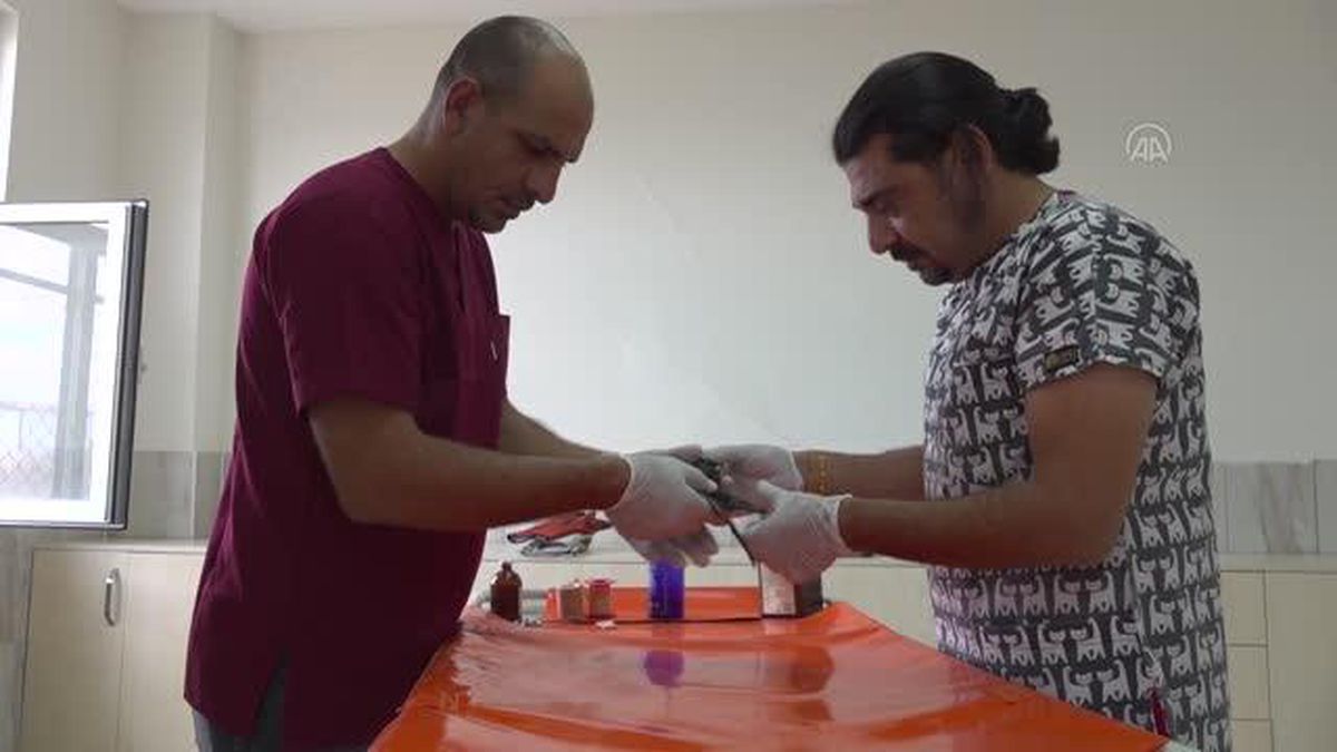 DİYARBAKIR - Doğada bulunan yavru kuşlara Diyarbakır'daki merkezde özenli bakım