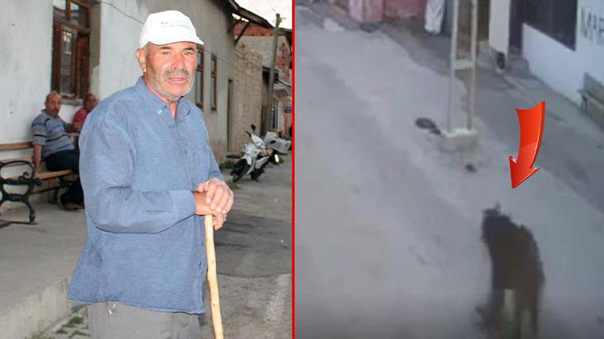 Bütün köy şaşkın! Karşısına çıkan ayıyı bağırarak korkutup kaçırdı