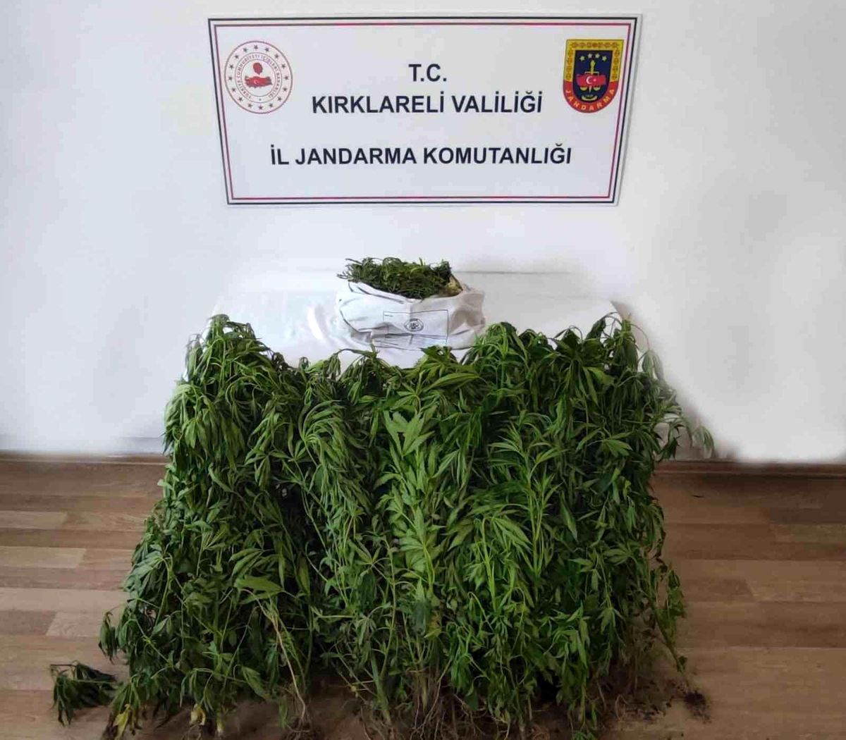 Kırklareli'de dronla tespit edilen adreslere jandarmadan şok operasyon