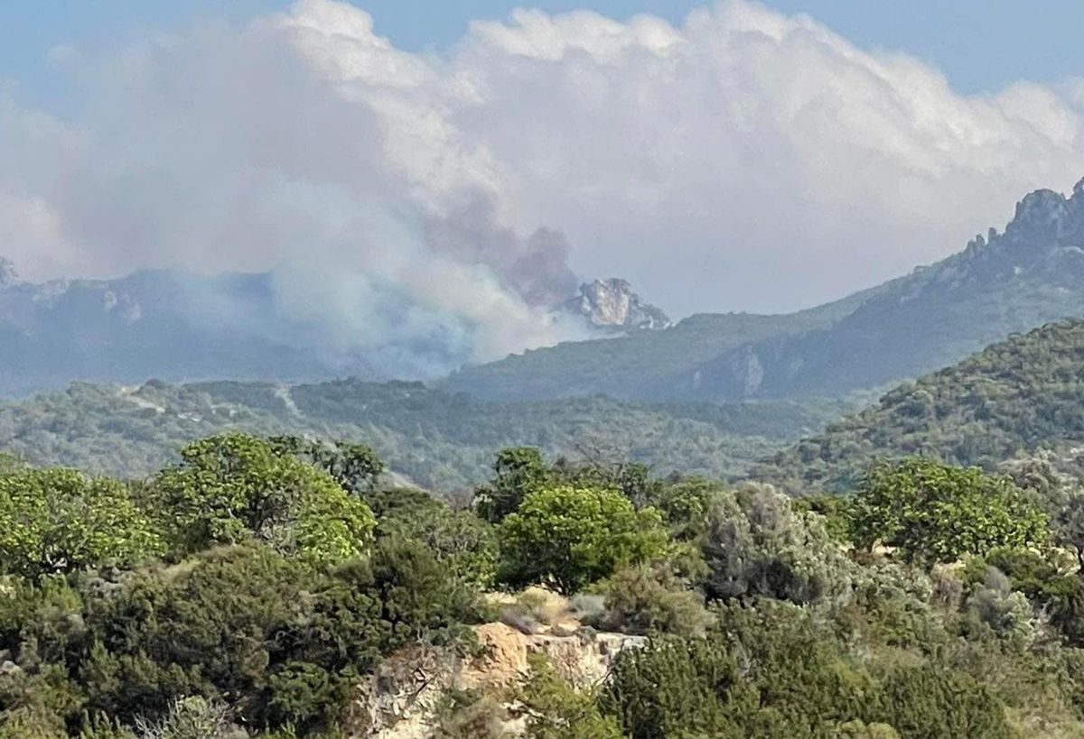 Son dakika: KKTC\'de 3 noktada orman yangını