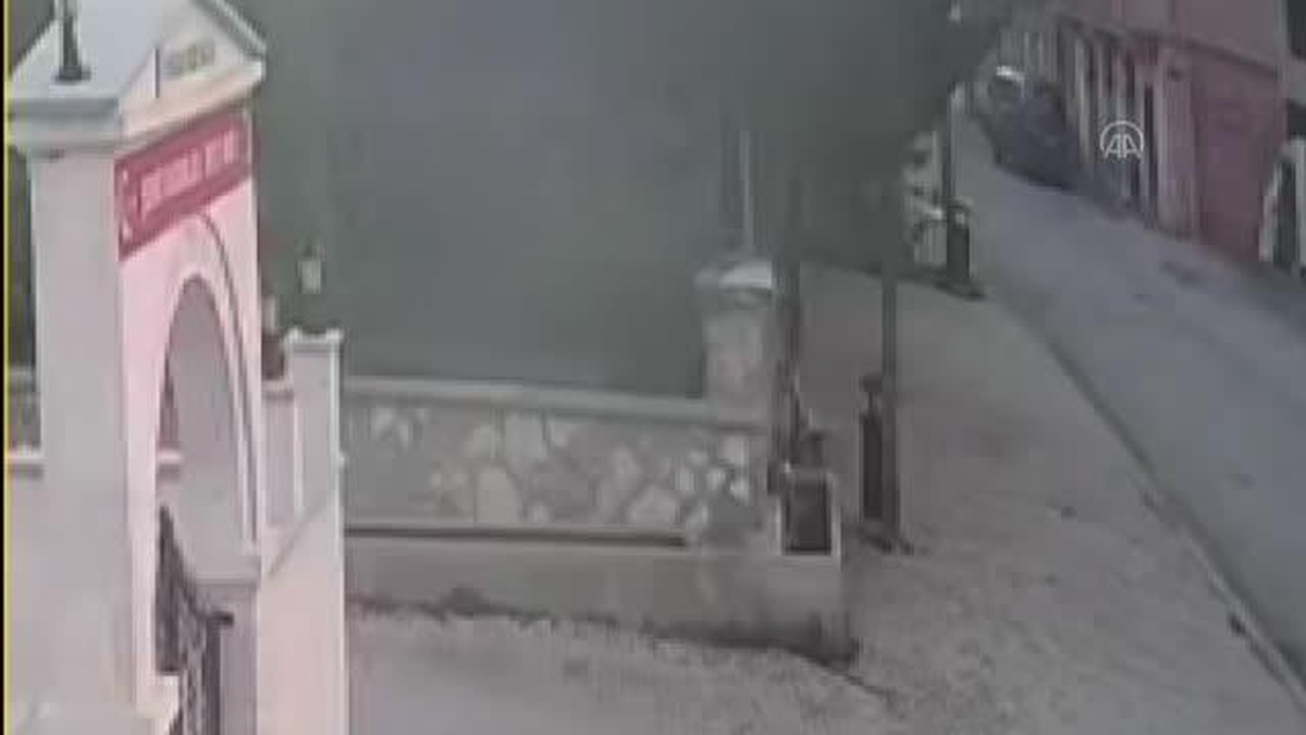 Köy meydanına inen ayı güvenlik kamerasınca görüntülendi